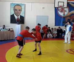 В Воткинске прошел турнир по самбо памяти В.Г. Садовникова