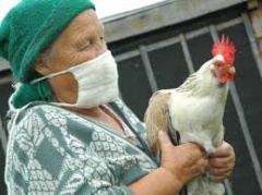 В Удмуртию пришел птичий грипп