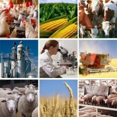 Комплекc мер поддержки сельхозтоваропроизводителей