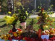 «Осенины: праздник урожая»