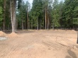 В Березовке продолжается реализация проекта «Ритм леса»