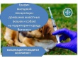 Ветеринарная станция начинает выездную вакцинацию собак и кошек против бешенства